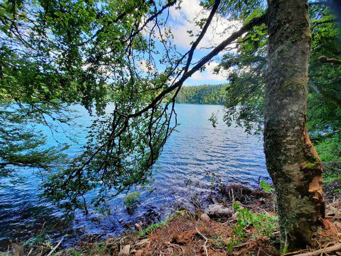 Lac Pavin
