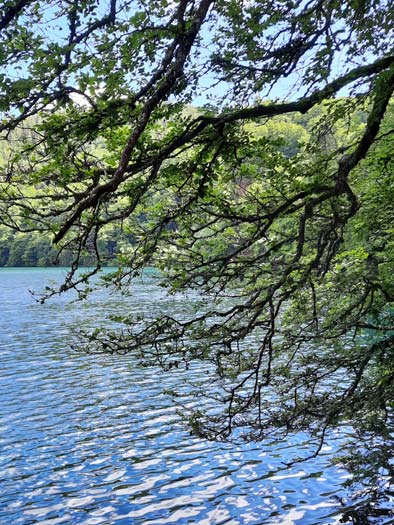 Lac Pavin