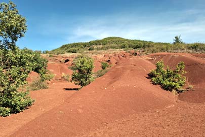 Rougier de Camares