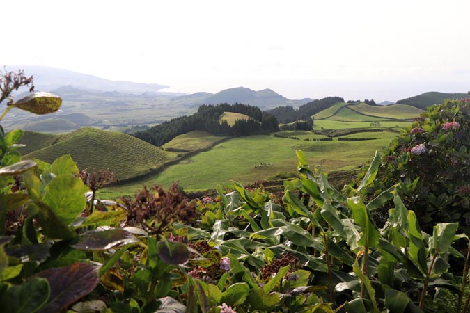 Sao Miguel