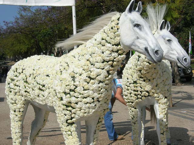 Fête des fleurs, Funchal