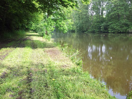 Le Loir